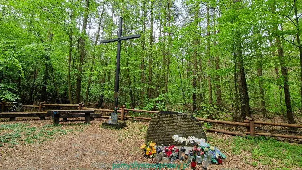 Las Kabacki atrakcje: Odkryj ukryte skarby i szlaki przyrody