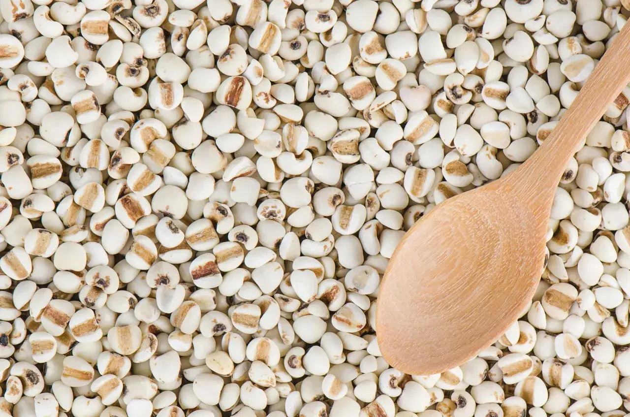 Gdzie kupić kaszę coix? Poradnik wyboru i najlepszych ofert