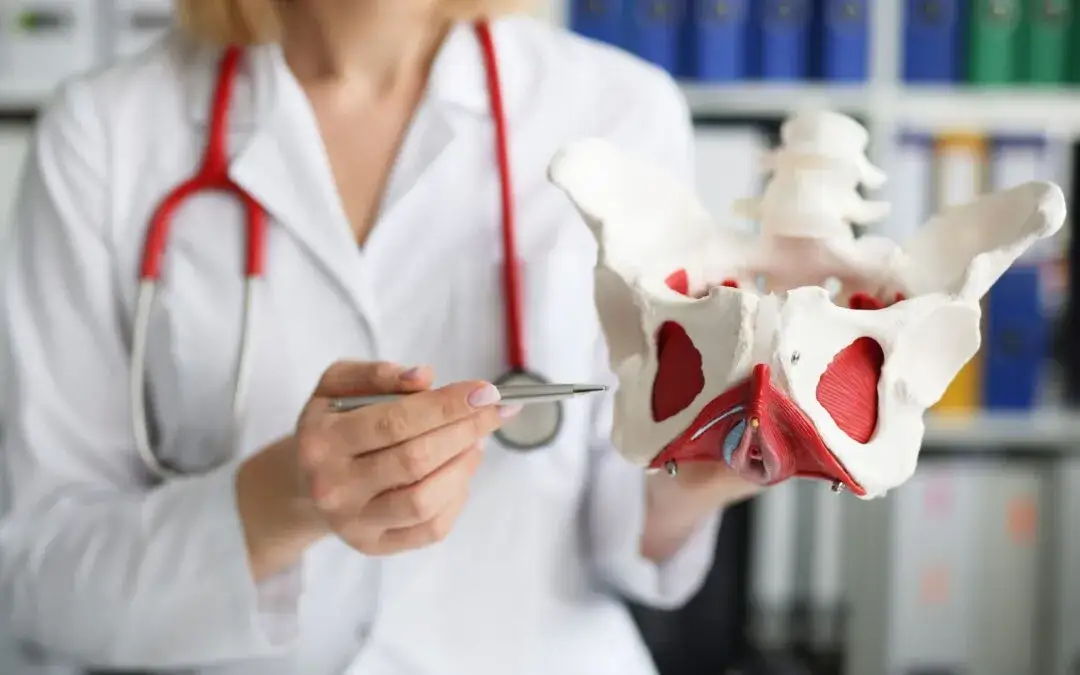 Mięśnie dna miednicy w ciąży: Lżejszy poród i szybka regeneracja