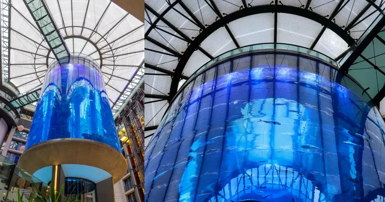 AquaDom oceanarium Berlin - tragiczne wydarzenia i plany na przyszłość