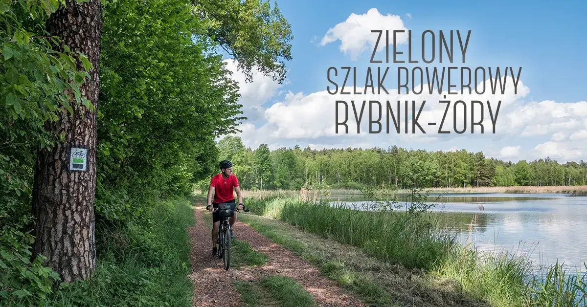 Najlepsze trasy rowerowe w Rybniku – unikaj nudnych szlaków!