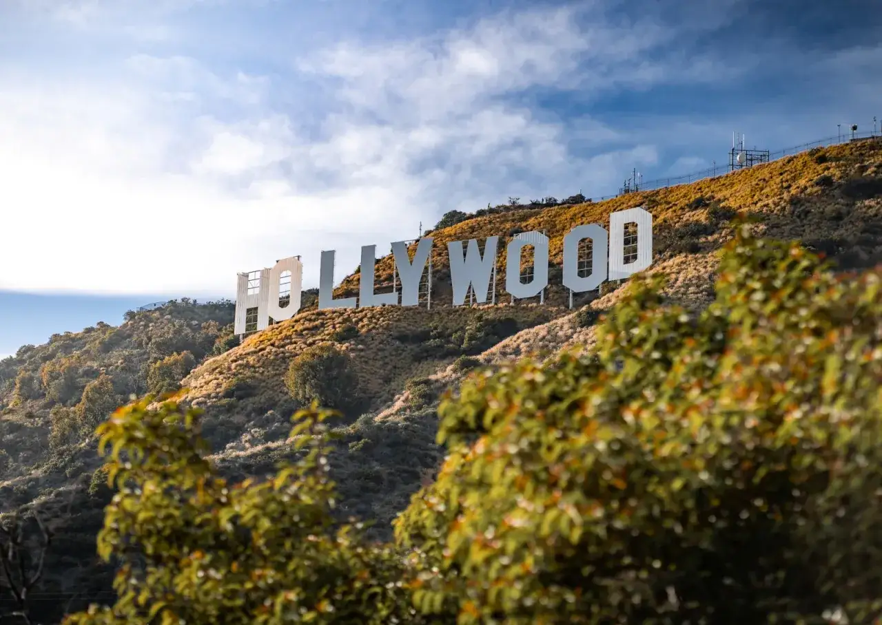 Słynny napis Hollywood na wzgórzu, z widokiem na zielone drzewa w pierwszym planie.