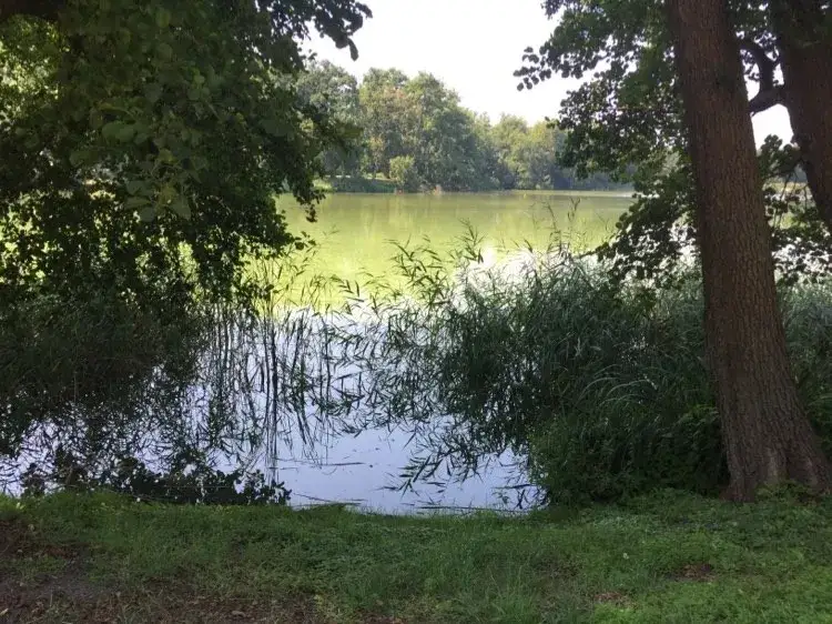 Jezioro Raczyńskie: piękne miejsce z wspaniałymi atrakcjami i historią