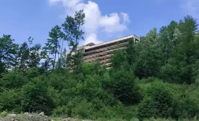 Warszowice: Stadnina zamknięta! Gdzie jeździć konno w okolicy?