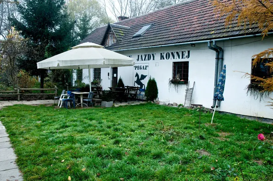 Najlepsze stadniny w Krakowie: gdzie znaleźć idealne miejsce do jazdy?