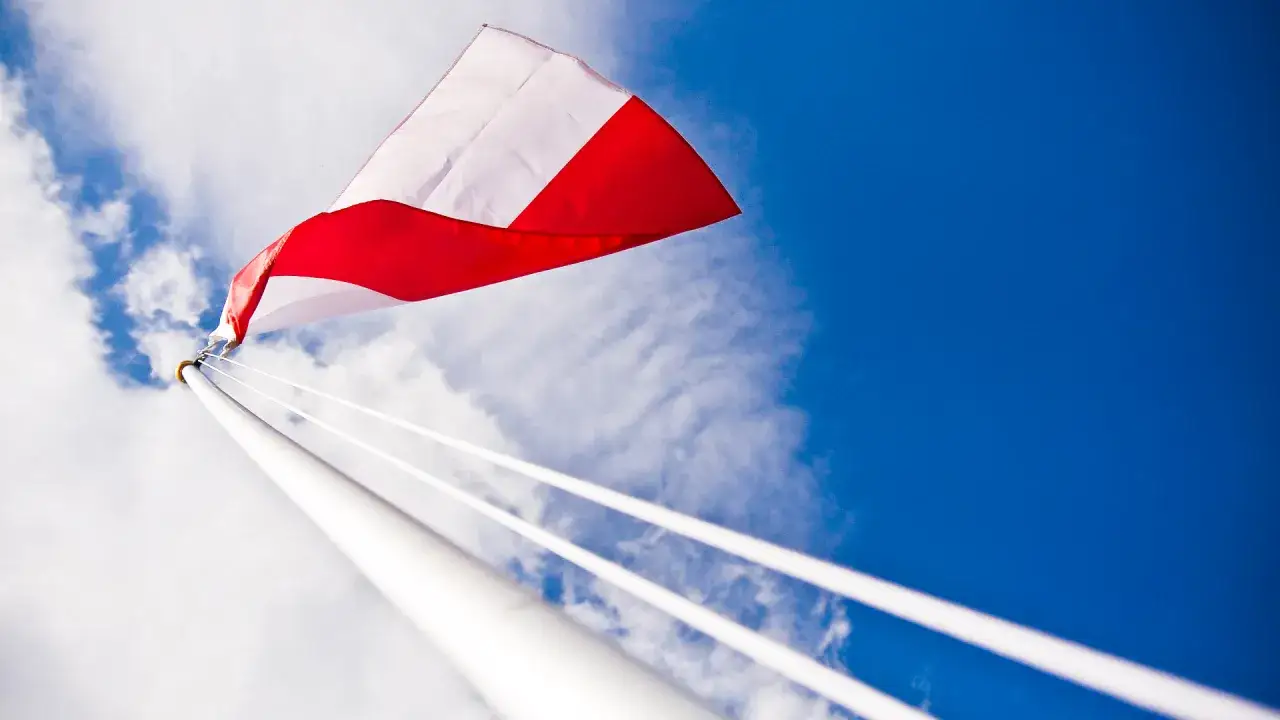 Tadar to polska firma? Poznaj fakty o kapitale i produkcji!