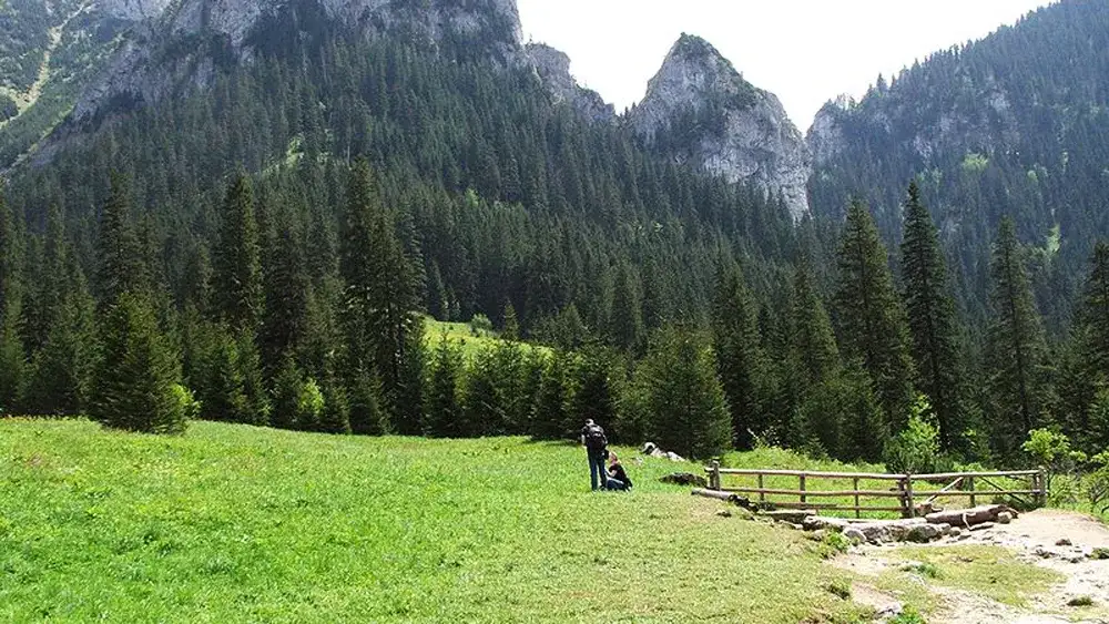 Skała Pisana w Dolinie Kościeliskiej - tajemnicze miejsce skrywające legendy