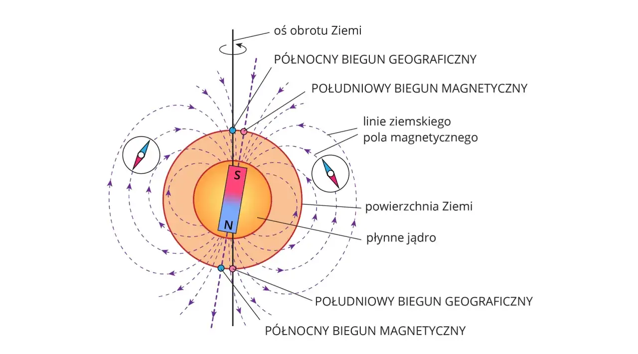 Ilustracja przedstawia Ziemię z polem magnetycznym, biegunami i kompasem.