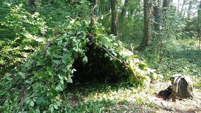 Legalne schronienia w lesie: Jak budować legalnie i bezpiecznie?