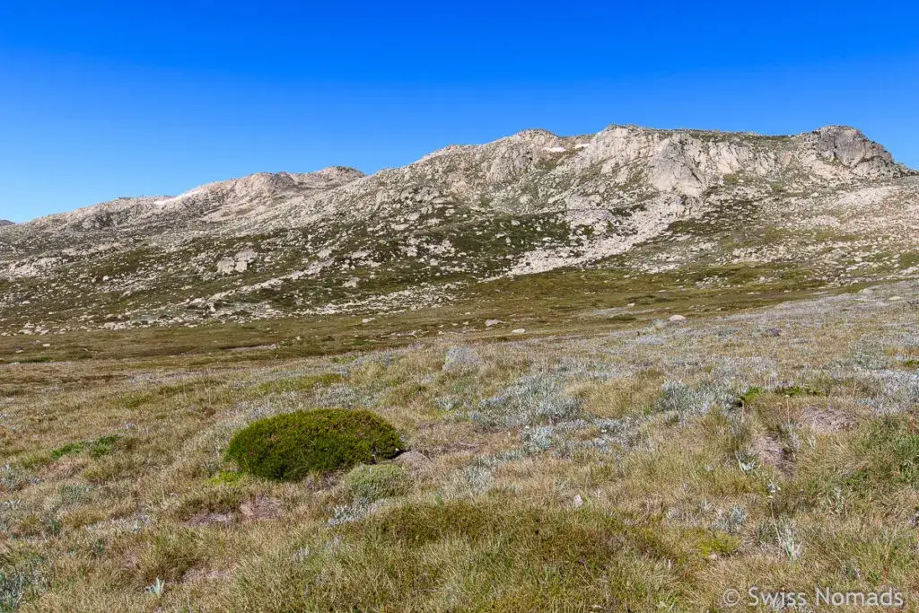 Mount Kosciuszko: Australiens höchster Berg Einfach zum Gipfel