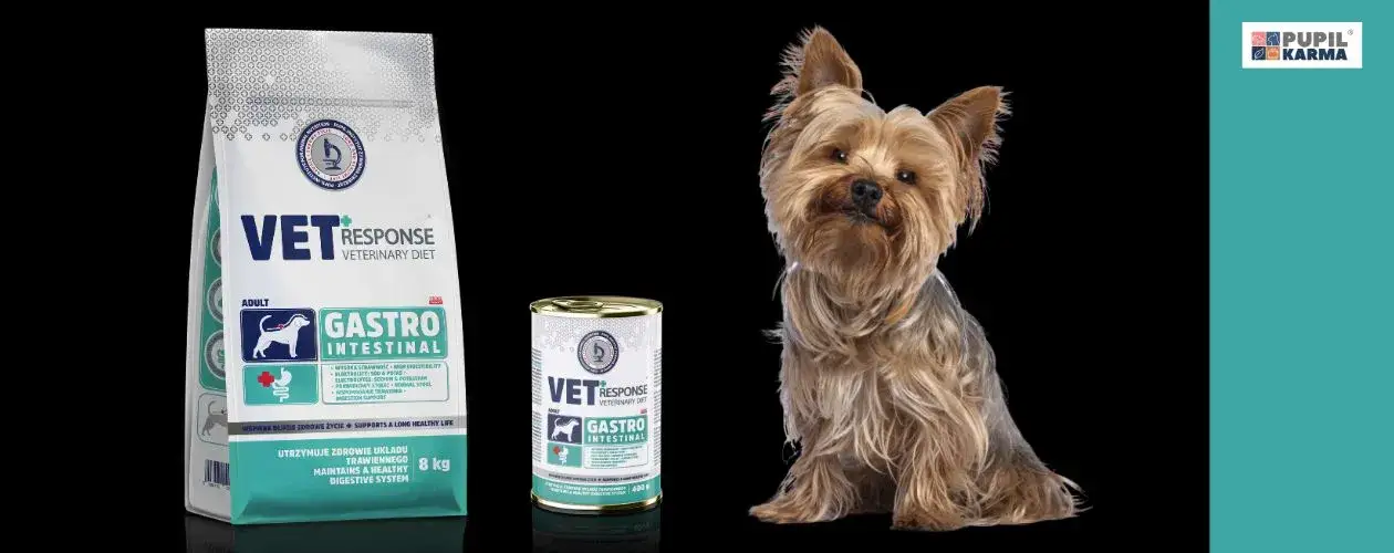 Błonnik dla psa: jaki wybrać? Poradnik weterynarza