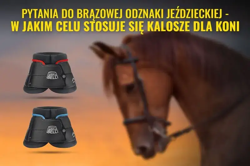 Po co są kaloszki dla konia? Ochrona kopyt i ich korzyści