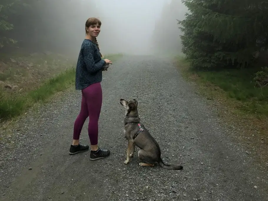 Pies w górach: Czy Twój pupil może iść na szlak? Sprawdź!