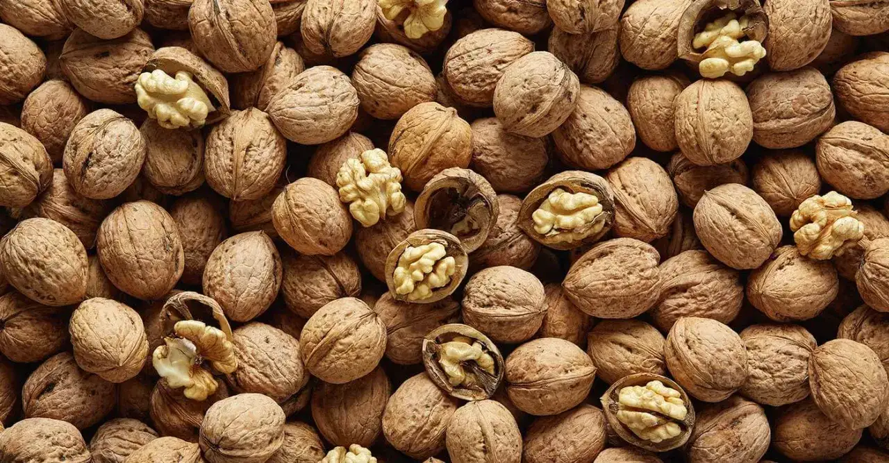 Po ile orzechy włoskie na skupie? Aktualne ceny i ważne informacje