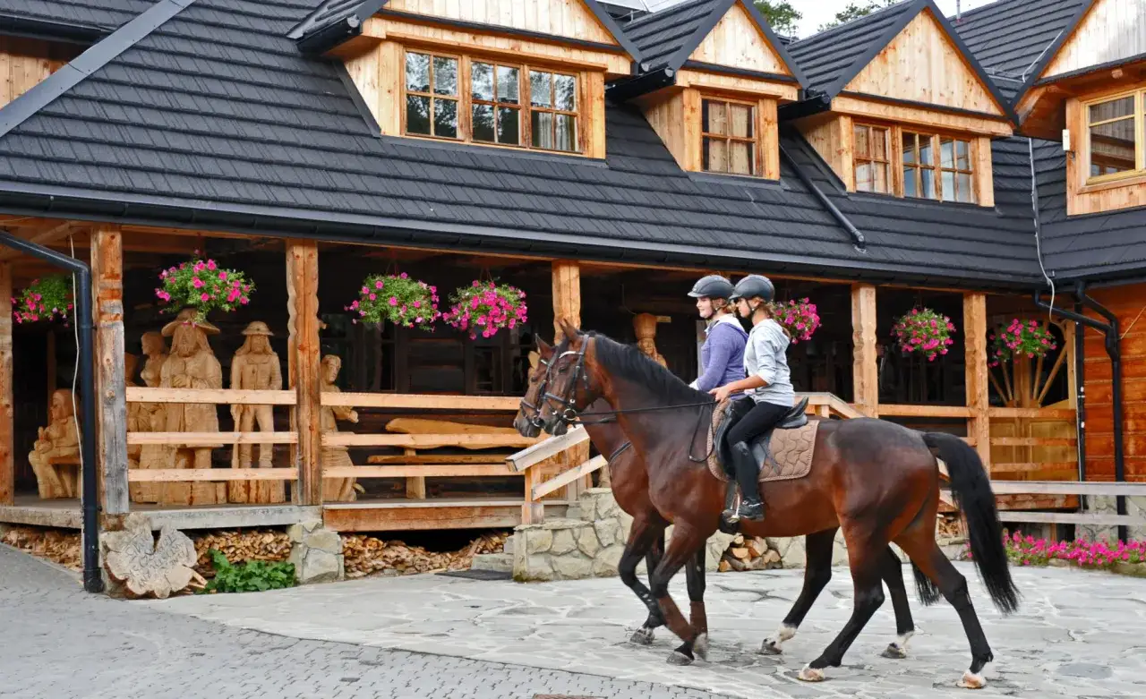 Technik jeździectwa – unikalny program kształcenia dla przyszłych jeźdźców