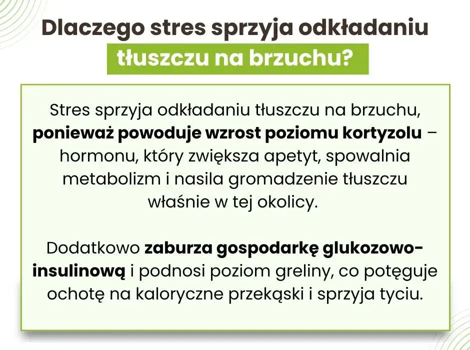 Co tuczy brzuch? Cukier, alkohol, stres jak z nimi walczyć?