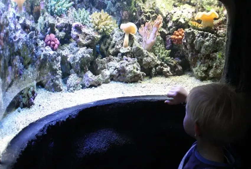 Oceanarium w Pradze – Niezapomniane atrakcje i informacje praktyczne