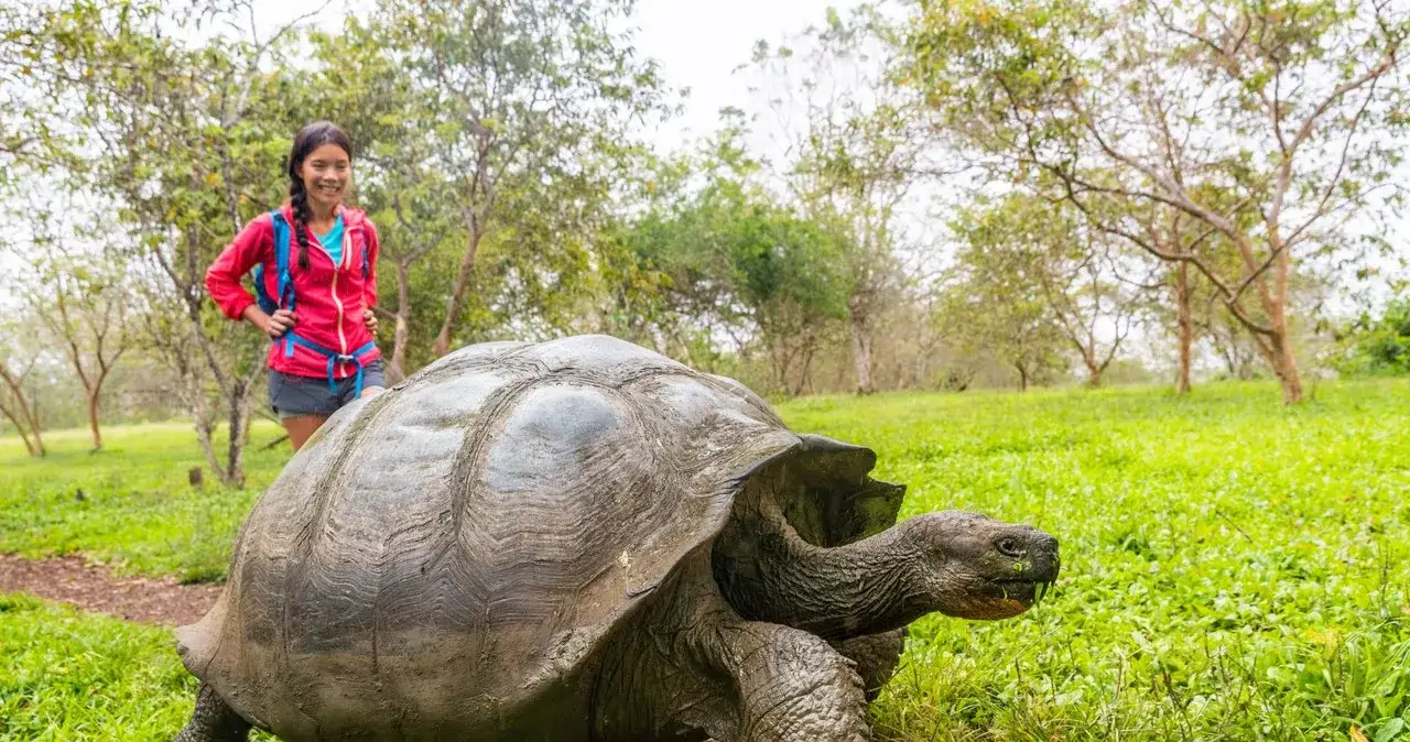 Ile żyją żółwie z Galapagos? Zaskakujące fakty o ich długości życia