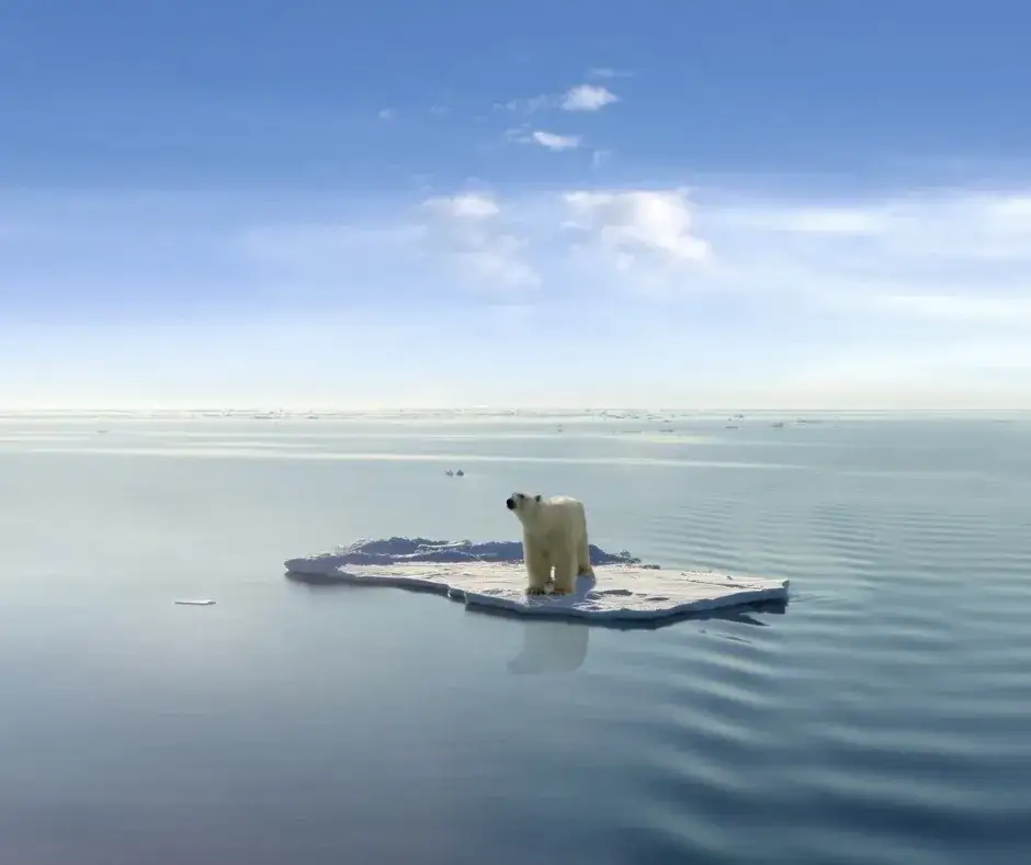 Co ja 12-latka mogę codziennie zrobić, aby skutecznie chronić klimat