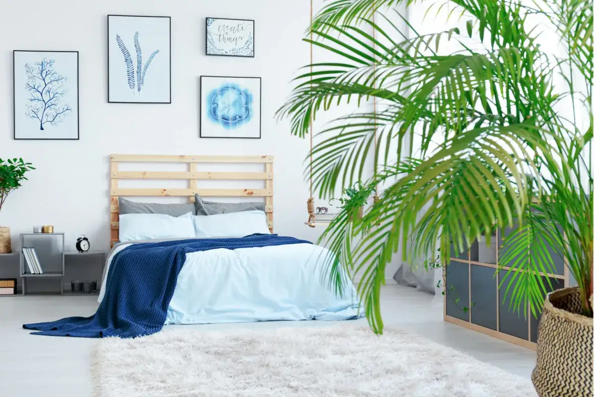 Kwiaty do sypialni: popraw sen i powietrze. Ranking + porady