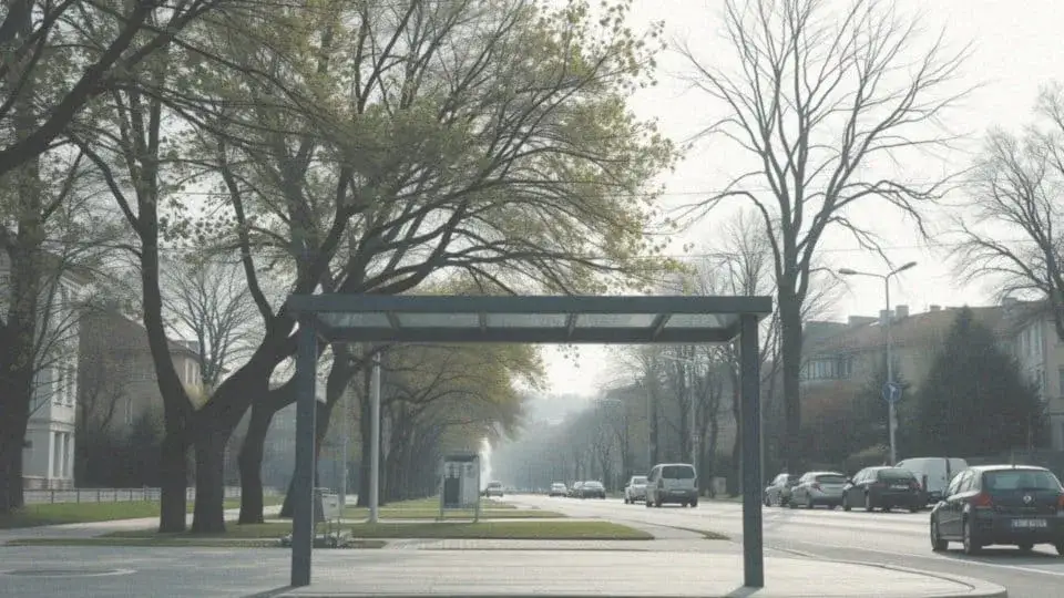 Jak dojechać z Władysławowa do Jastrzębiej Góry - sprawdź najlepsze opcje transportu