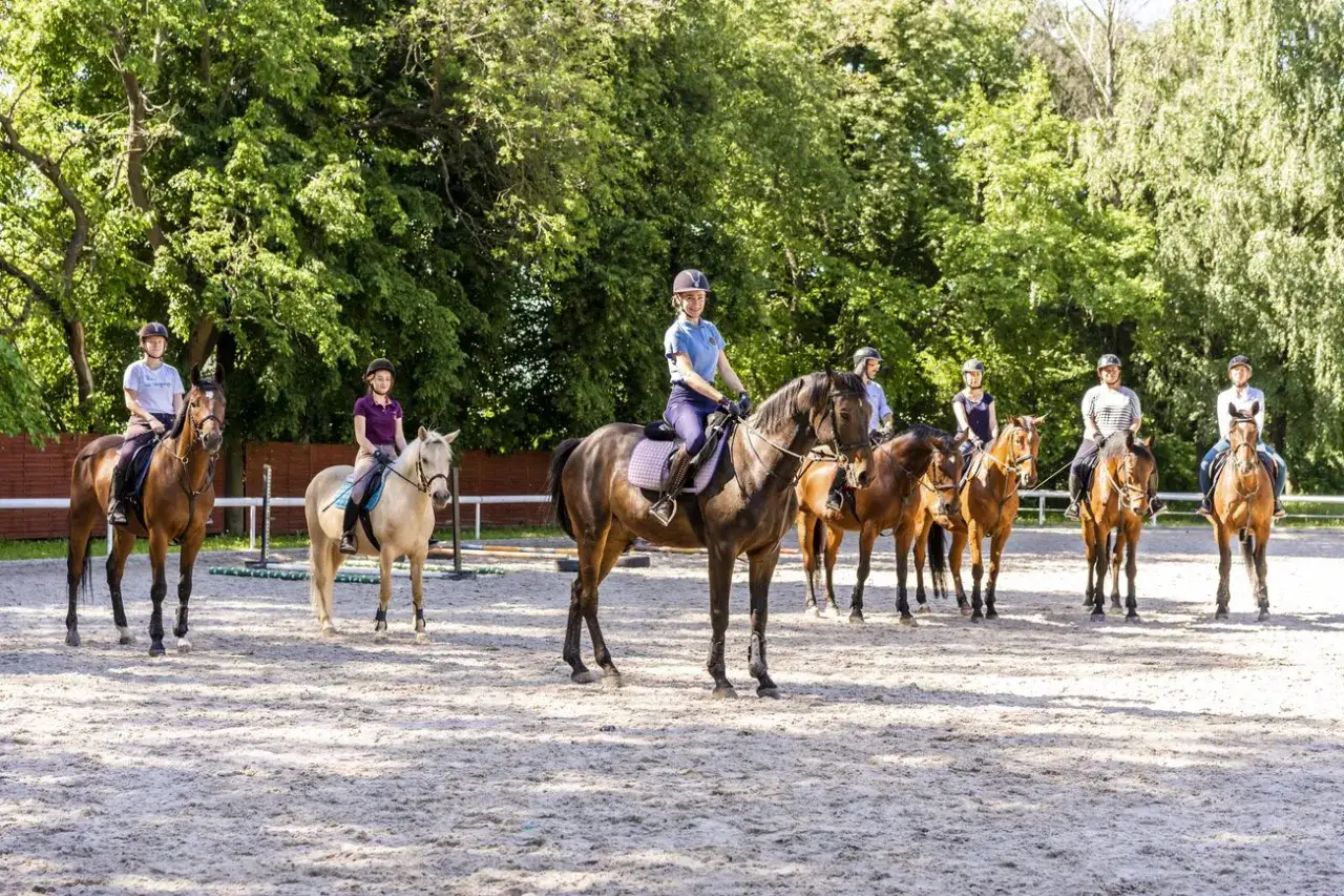 Wrocław: Hipologia i jeździectwo od studiów po Partynice. Twój przewodnik