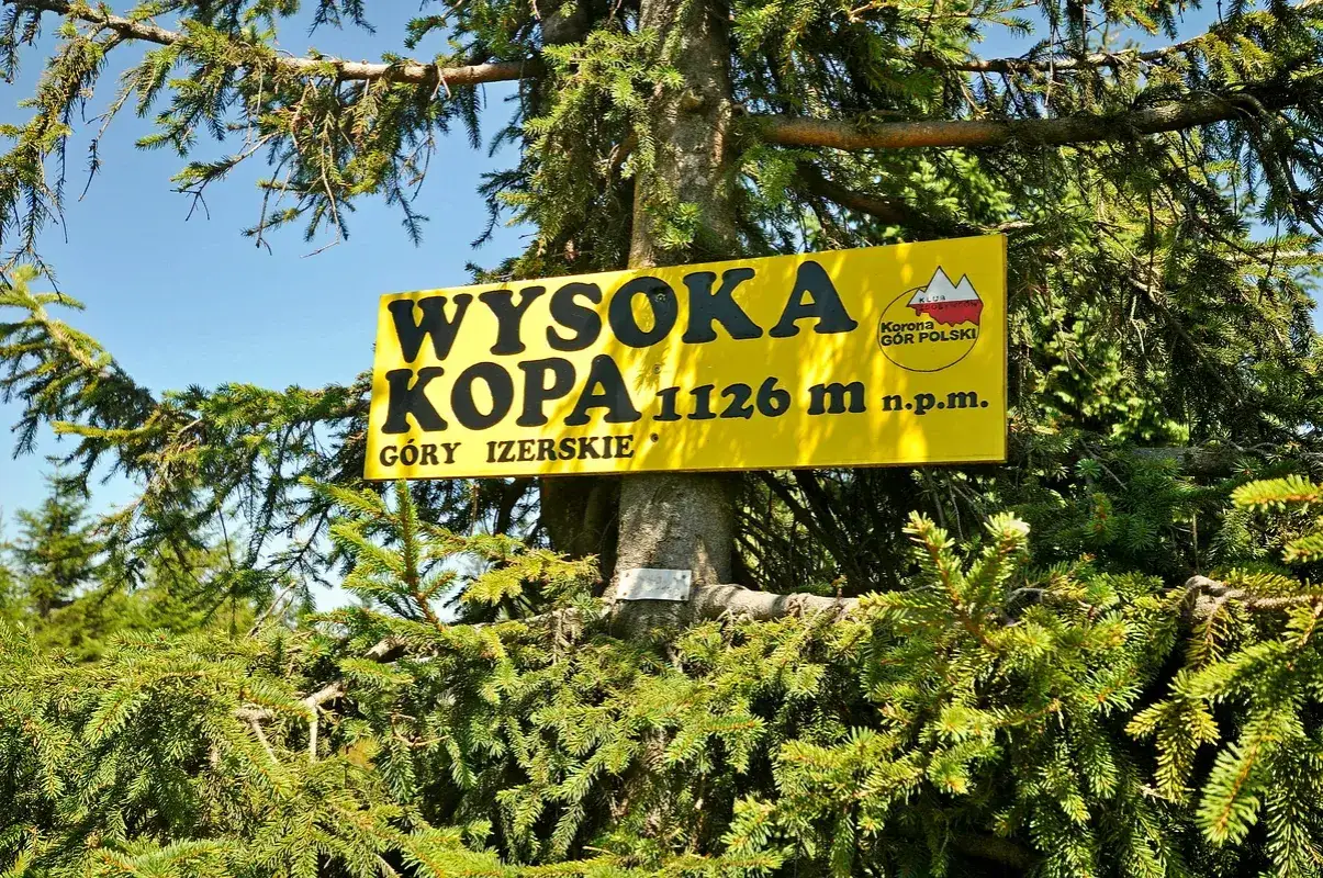 Żółta tablica na drzewie informuje: Wysoka Kopa, 1126 m n.p.m., Góry Izerskie. To najwyższy szczyt gór izerskich.