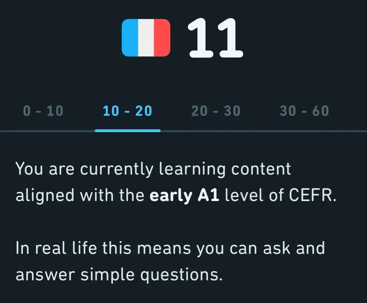 Poziomy języka francuskiego: Jak ocenić swój poziom biegłości?