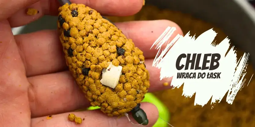 Zanęta z chleba: Jak skutecznie przygotować tanią przynętę na ryby