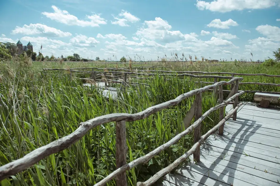 Skansen Tum: Odkryj historię i atrakcje w Kwiatkówku i Tumu