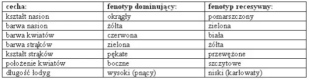 Biologia: Czym jest genetyka i jak wpływa na dziedziczenie cech