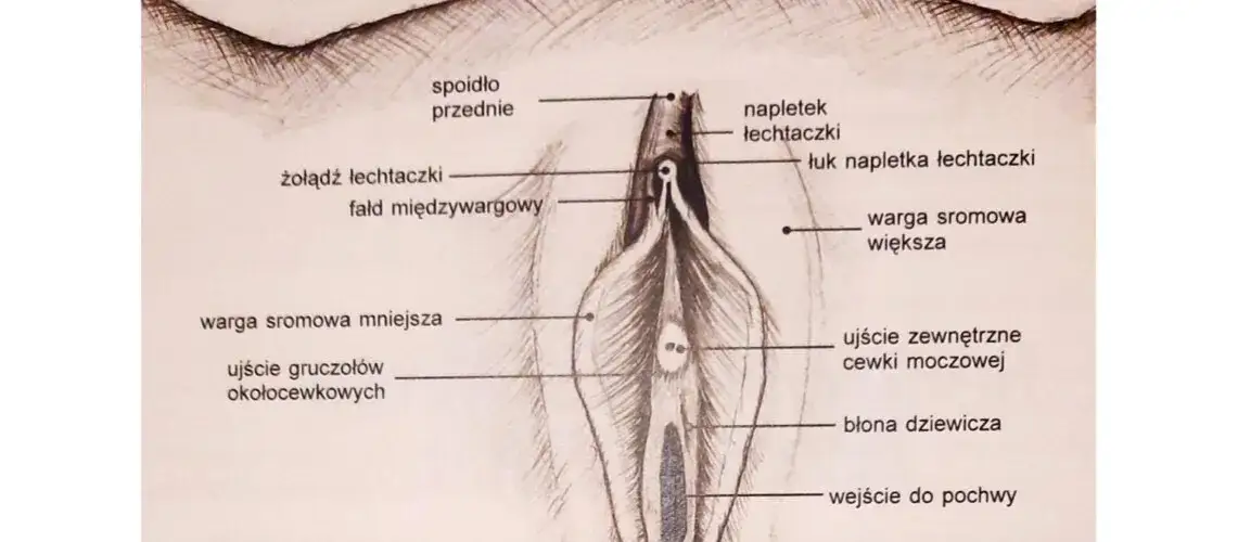 Labioplastyka nfz gdzie: Jak uzyskać refundację i uniknąć problemów