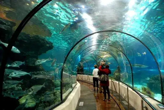 Oceanarium Rzeszów – brak oficjalnego miejsca, sprawdź alternatywy