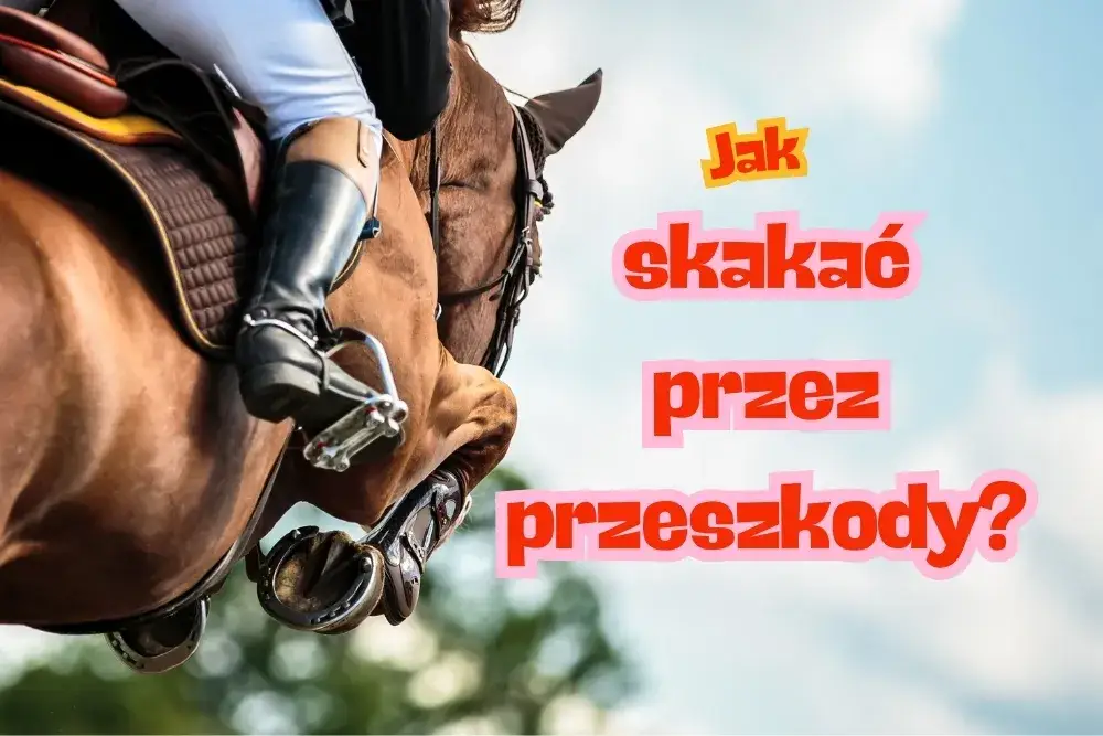 Skoki przez przeszkody: Jak zacząć? Koszty, sprzęt, trening