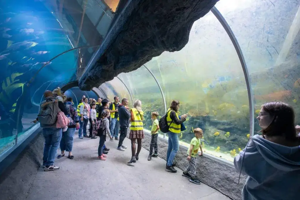 Gdzie na weekend z dzieckiem w zimie - najlepsze atrakcje i miejsca