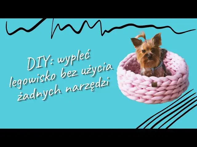 Jak zrobić legowisko dla psa z koca - proste i tanie rozwiązanie