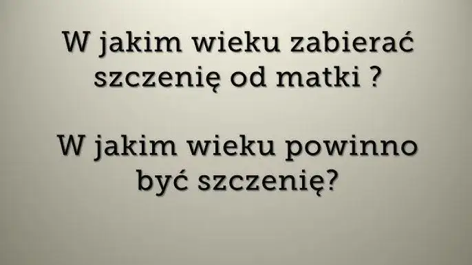 Ile szczeniak powinien być przy matce, aby uniknąć problemów zdrowotnych?