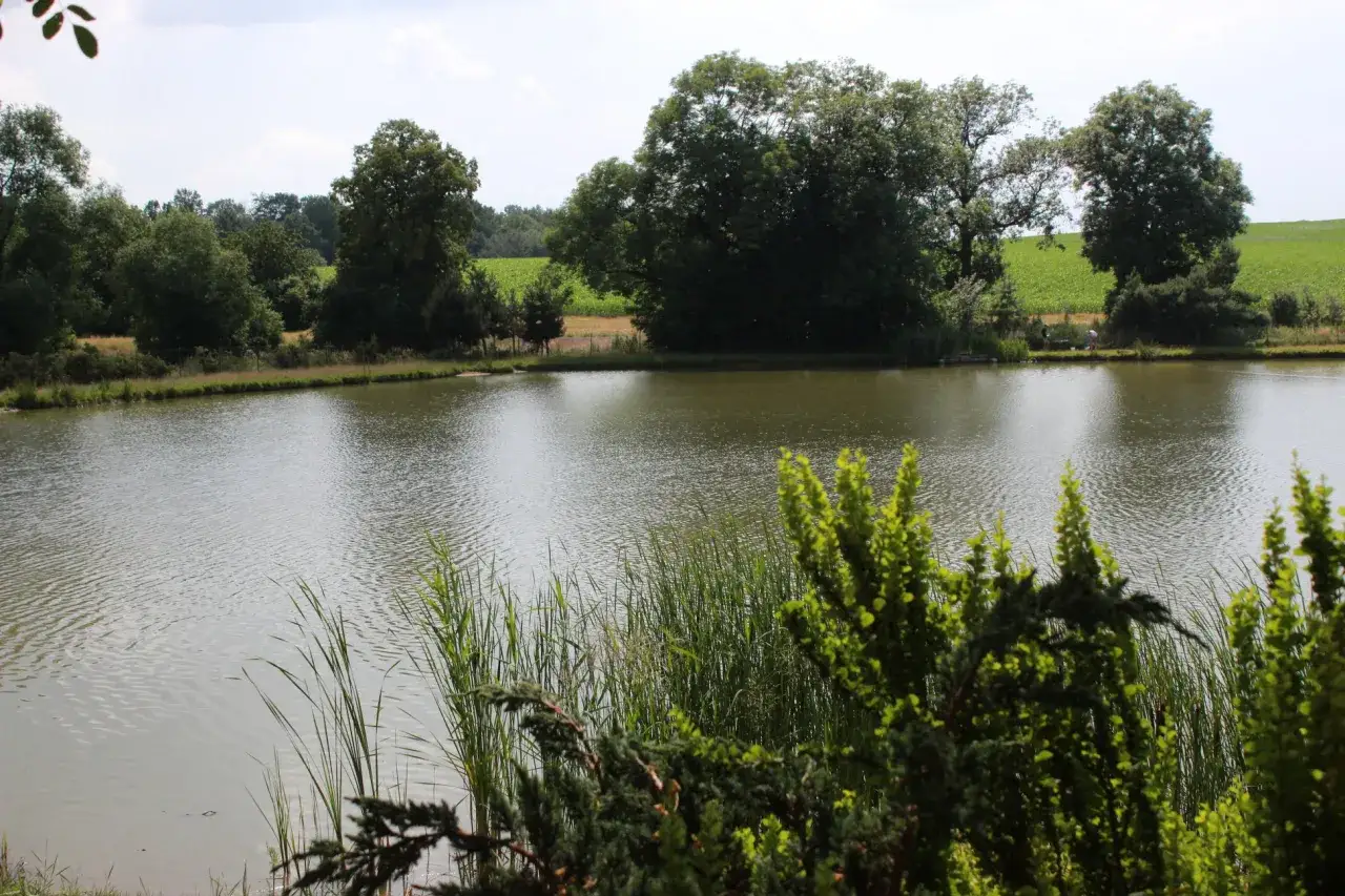 Łowisko Węgrów: Idealne miejsce na udane wędkowanie w Polsce