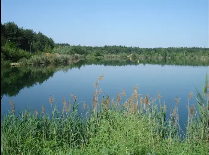 Łowisko Okoń w Janówku Pierwszym - Idealne miejsce na wędkowanie
