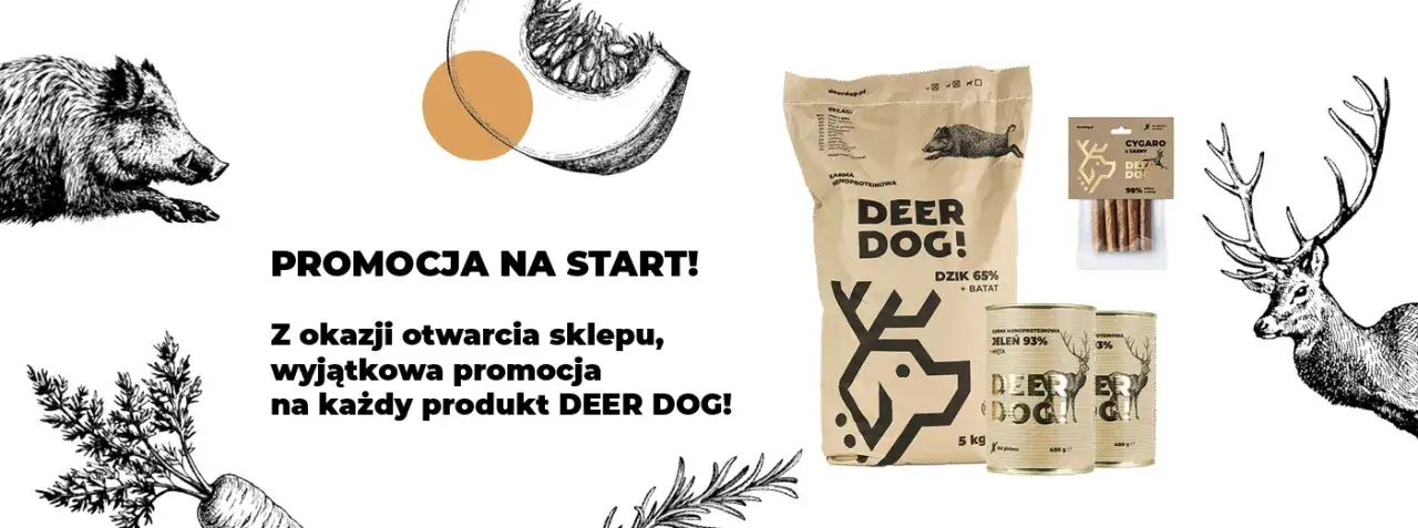 Jak przewieźć psa samolotem Ryanair - zasady i ważne informacje