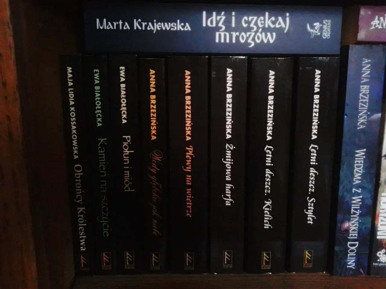 Najlepsze książki obyczajowe polskich autorów, które musisz poznać