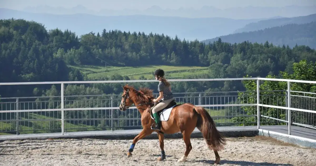Stadnina koni w Pcimiu - komfortowe noclegi i jazda konna dla każdego