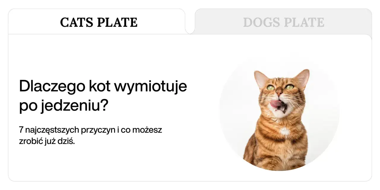 Kot bengalski z zielonymi oczami, oblizujący się. Tekst informuje o przyczynach, dla których kot wymiotuje po jedzeniu.