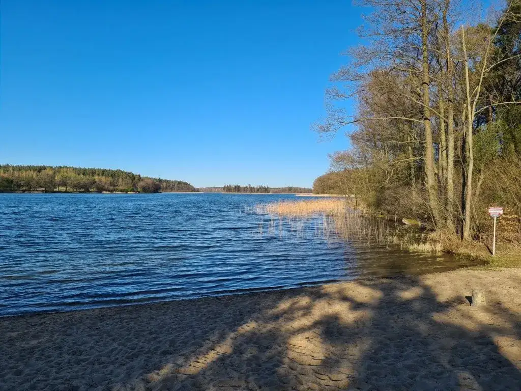 Jezioro Borzechowskie Wielkie - raj dla miłośników przyrody i relaksu