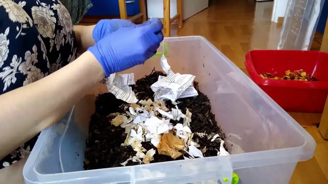 Jak założyć hodowlę dżdżownic i uniknąć najczęstszych błędów