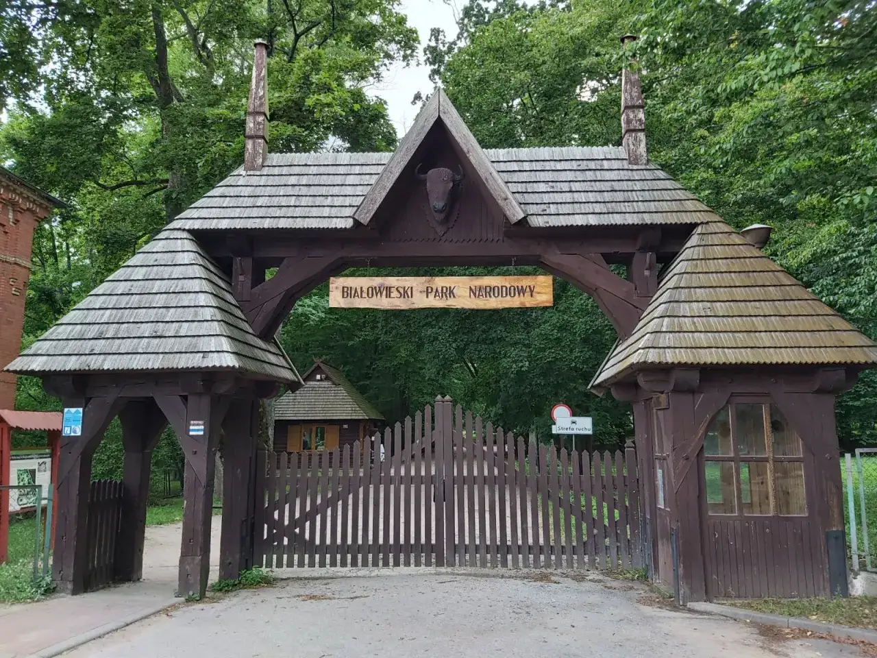 Najciekawsze atrakcje w Puszczy Białowieskiej, które musisz zobaczyć