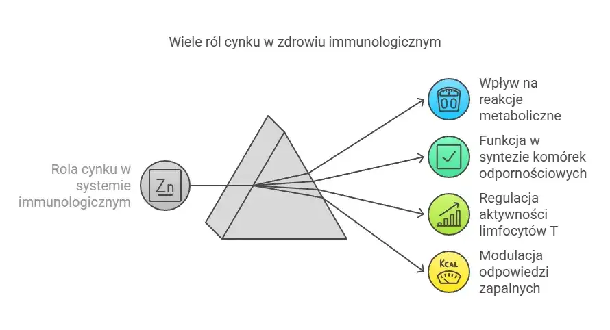 Cynk: jak zażywać skutecznie i bezpiecznie? Dawki, formy, interakcje