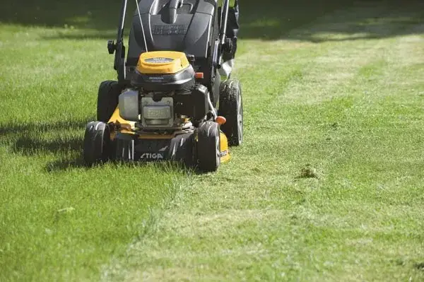 Jak zrobić własne boisko do piłki nożnej – krok po kroku do sukcesu!