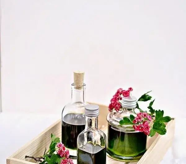 Jak zrobić oliwę bazyliową w prosty sposób i cieszyć się smakiem