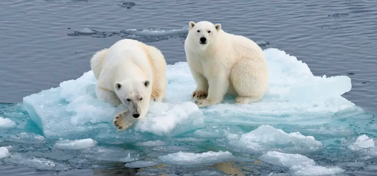 Co by było, gdyby klimat się ocieplił? Skutki, które mogą nas zaskoczyć